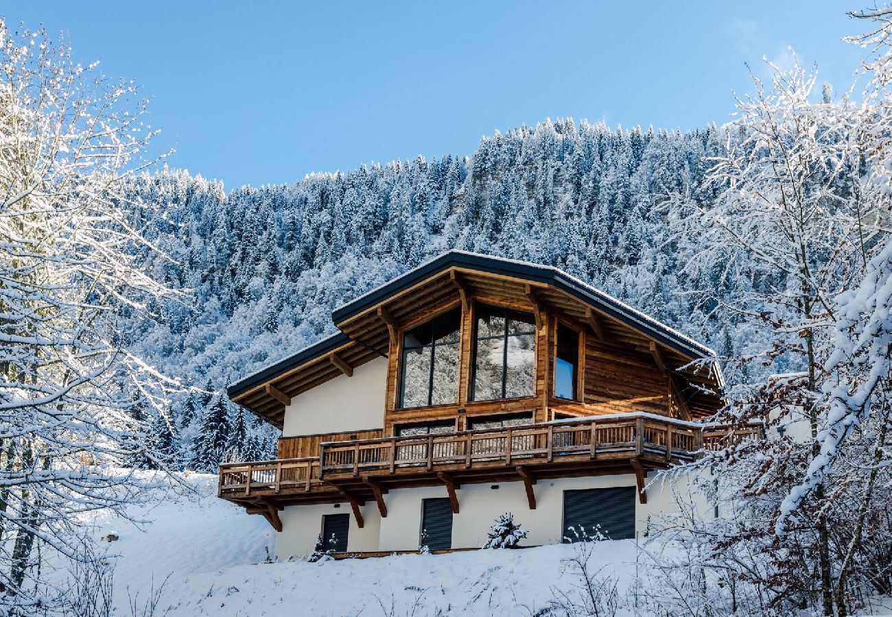 Chalet in Montriond - Les Petits Ours, Montriond, superbe 8/14 personnes