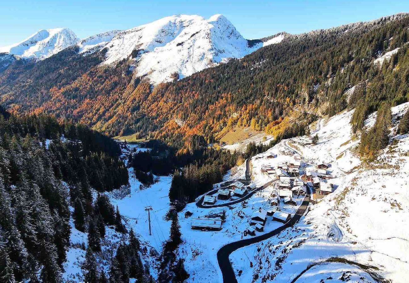 Villetta a Montriond - Le Ruisseau, Lindarets, sur les pistes, 10 pers.