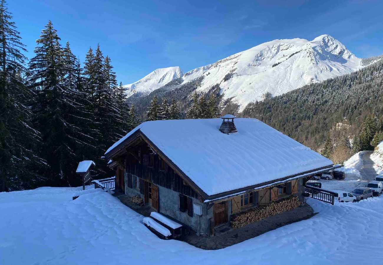 Villetta a Montriond - Le Ruisseau, Lindarets, sur les pistes, 10 pers.