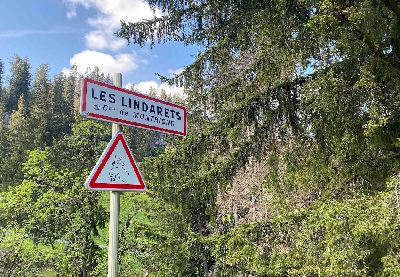 Villetta a Montriond - Le Ruisseau, Lindarets, sur les pistes, 10 pers.