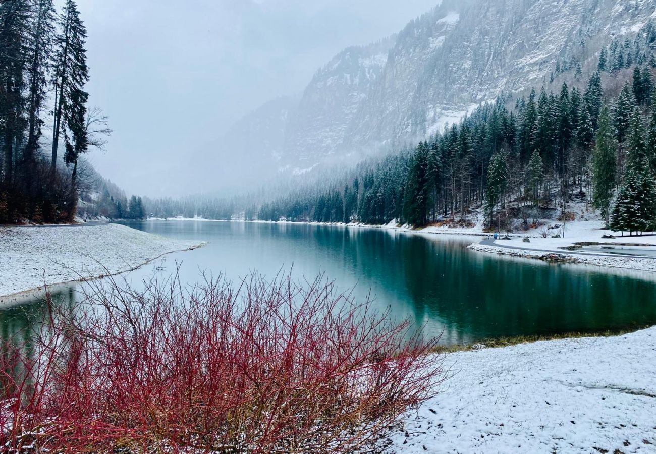 Villetta a Montriond - La Rose, Montriond, 12 personnes