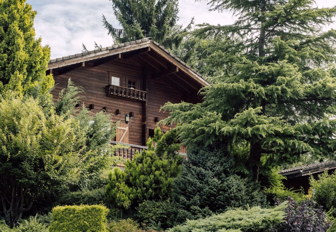 Magnifique Chalet à louer à Montriond, coeur des portes du Soleil. 