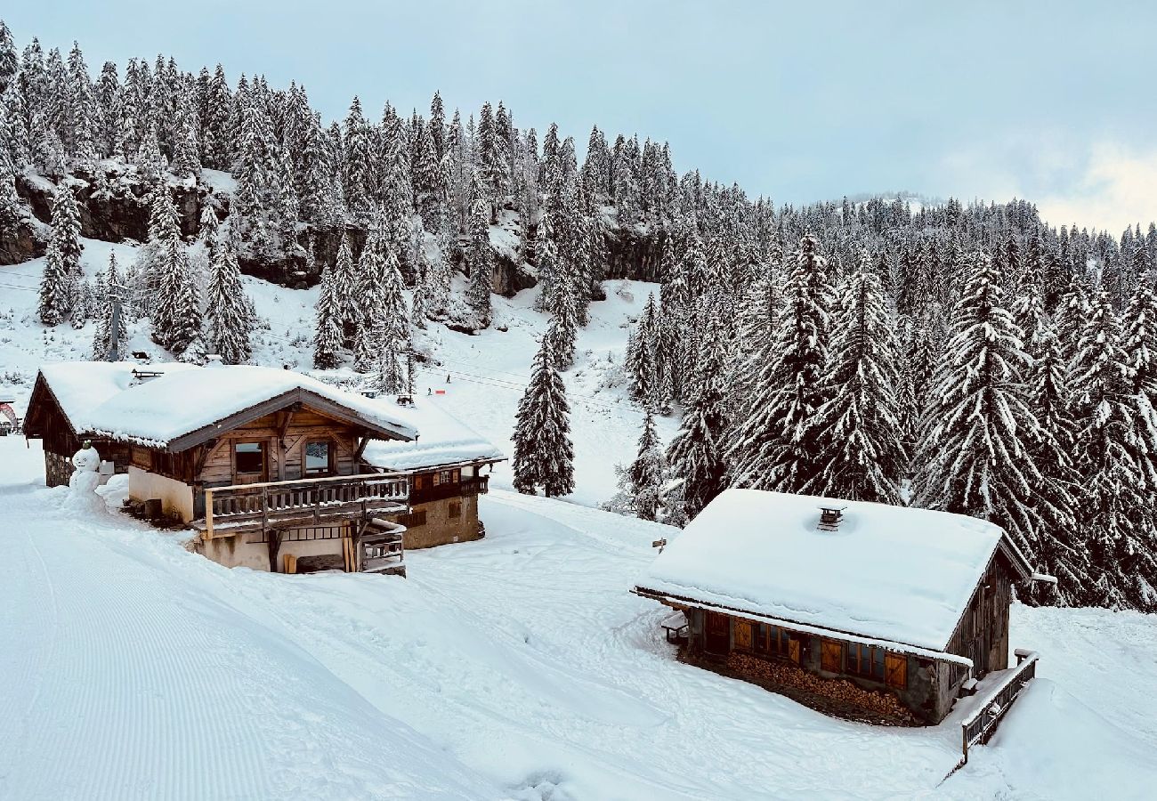 Chalet em Montriond - Le Ruisseau, Lindarets, sur les pistes, 10 pers.