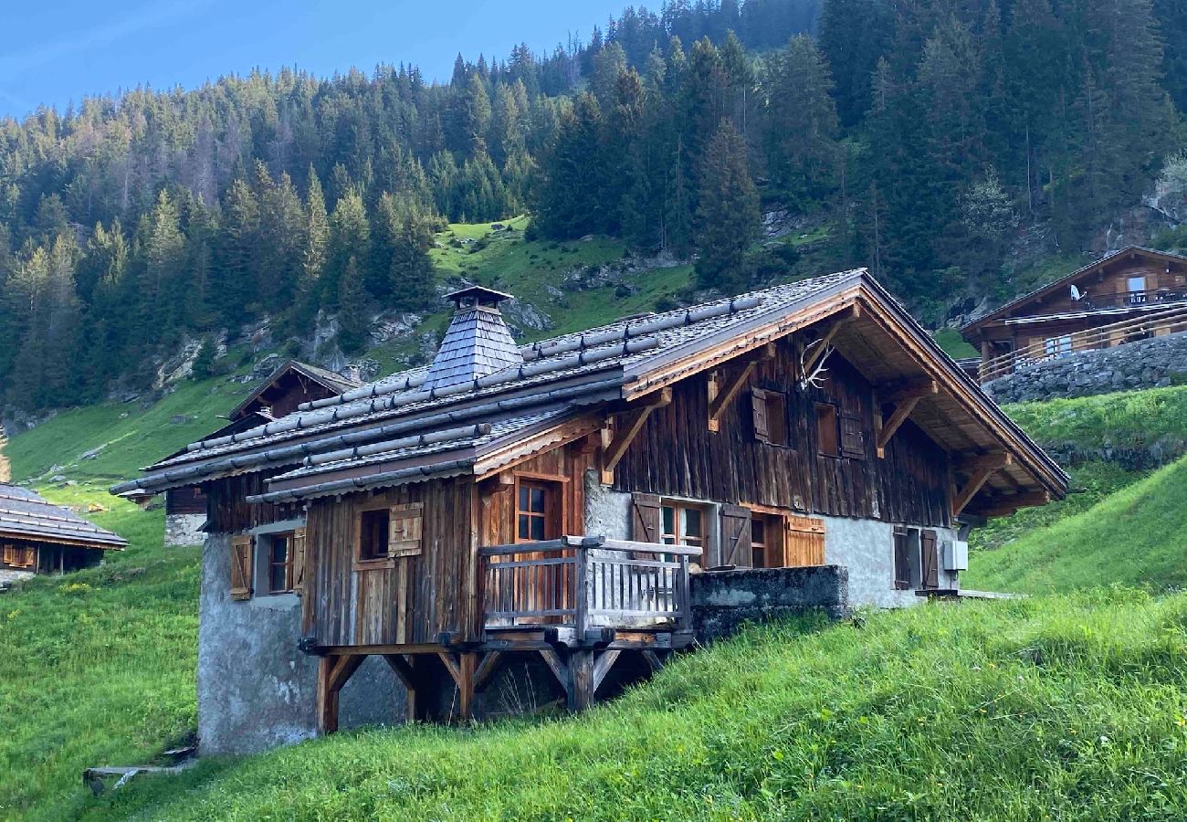 Chalet em Montriond - Le Ruisseau, Lindarets, sur les pistes, 10 pers.